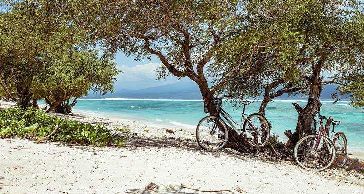 Réveil à Bali - Wingbuddy 1