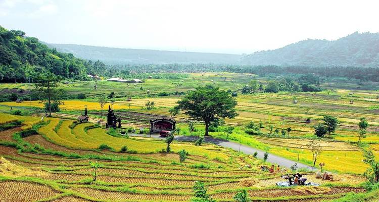 Réveil à Bali - Wingbuddy 4