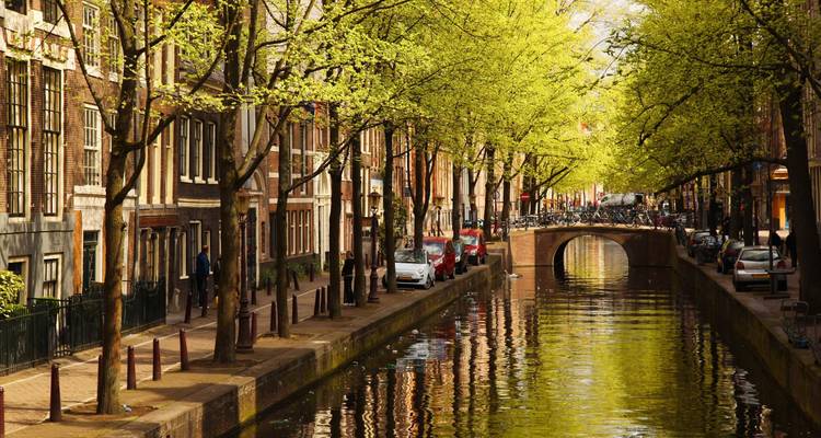 El romántico Valle del Rin y Holanda (7 destinations) - CroisiEurope River Cruises 8