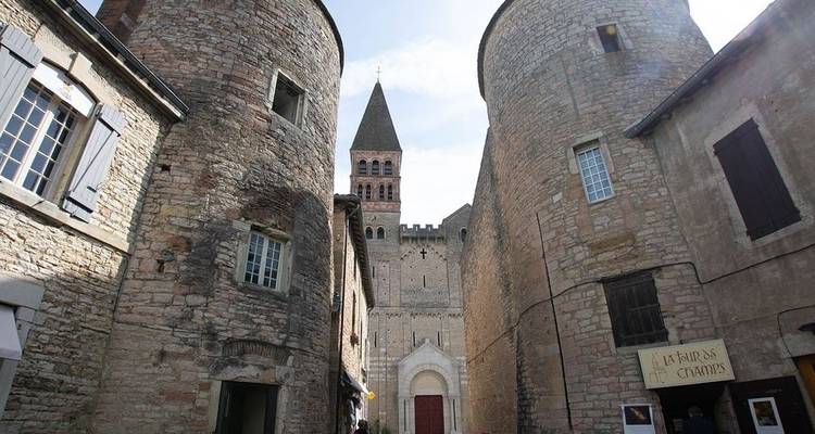 La puerta de entrada a la Provenza, la Camarga, el Ródano y el Saona - crucero puerto a puerto - CroisiEurope River Cruises 8