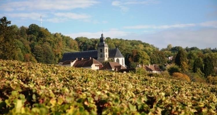 La France dans toute sa splendeur, de la Champagne à Paris (croisière de port à port) - CroisiEurope River Cruises 7