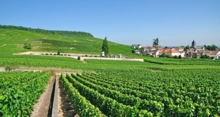 La France dans toute sa splendeur, de la Champagne à Paris (croisière de port à port) - CroisiEurope River Cruises 9