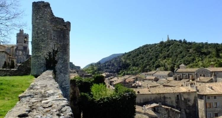 De Borgoña al Camarge por los ríos Saona y Ródano - CroisiEurope River Cruises 3