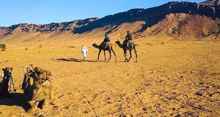 Aventura en la ciudad y el desierto de Marrakech 5D/4N - Bamba Travel 7