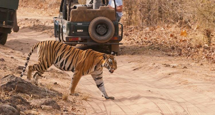 Circuito de lujo al triángulo de oro con Ranthambore y Benarés - GeTS Holidays 4