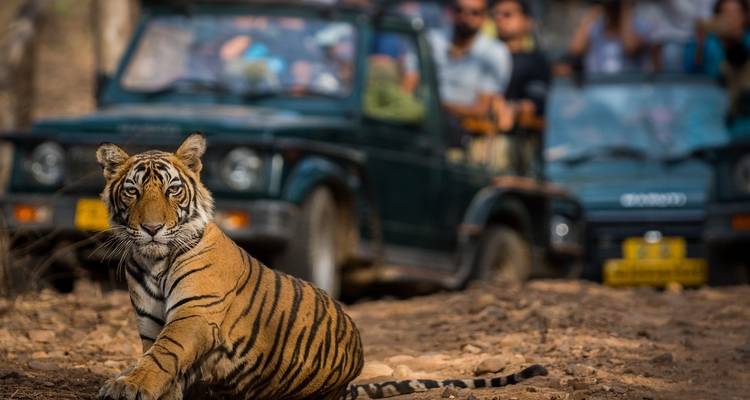 Circuito de lujo al triángulo de oro con Ranthambore y Benarés - GeTS Holidays 1