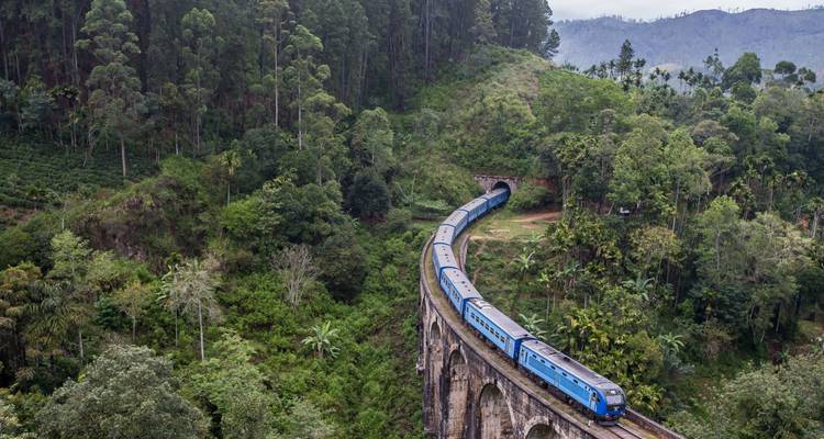 Train crossing an arched bridge in a lush, mountainous landscape.
