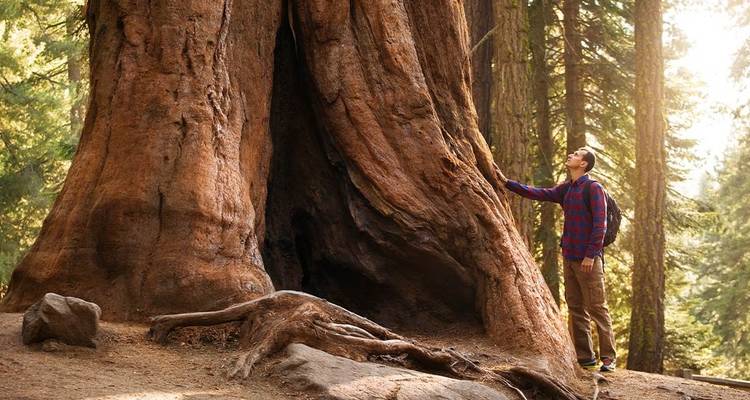 De Las Vegas à San Francisco :  Parcs, Canyons, Vallées - Intrepid Travel 9