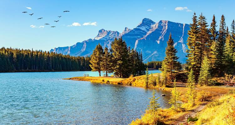 Un lago azul tranquilo rodeado de pinos refleja picos espectaculares bajo un cielo despejado con pájaros volando arriba.