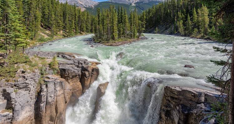 Una poderosa cascada se desploma a través de un cañón rocoso rodeado de un denso bosque de pinos con montañas a lo lejos.
