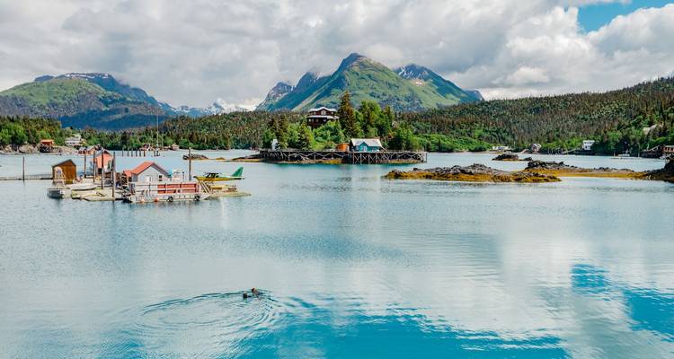 Bahía tranquila de Alaska con muelles flotantes, islas boscosas y montañas nevadas de fondo.