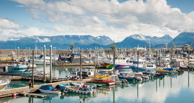 Puerto deportivo lleno de barcas de pesca y yates con cadenas montañosas brumosas de fondo.