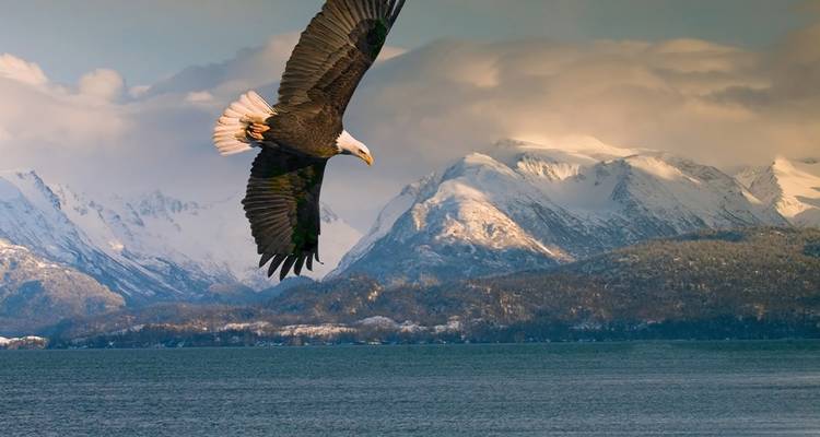 Alaska Camping Adventure - Intrepid Travel 2