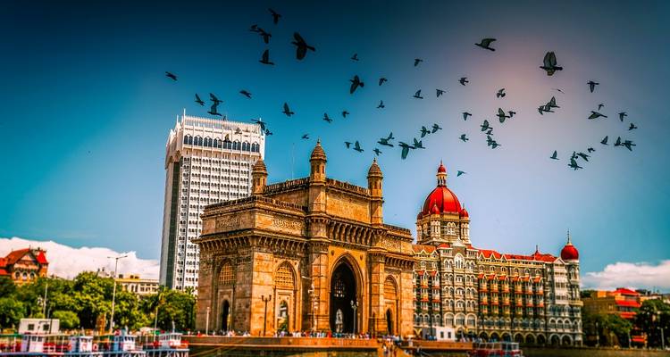 Gateway of India with birds flying above it.