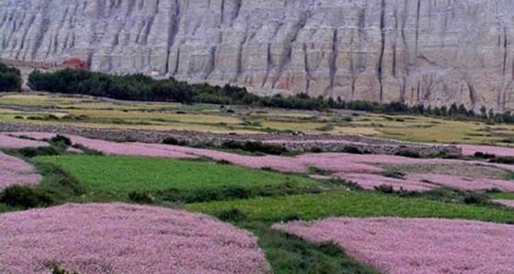 13 days Mustang and Lo-Manthang Trek in Nepal - Nepal Hiking Pvt. Ltd. 9