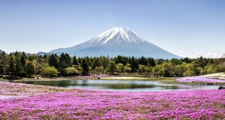 Best of Japan - 8 days - On The Go Tours 8