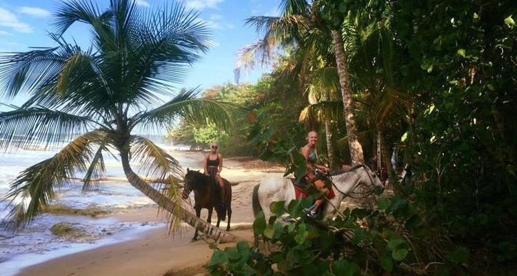 Personas montando a caballo a lo largo de una playa tropical.