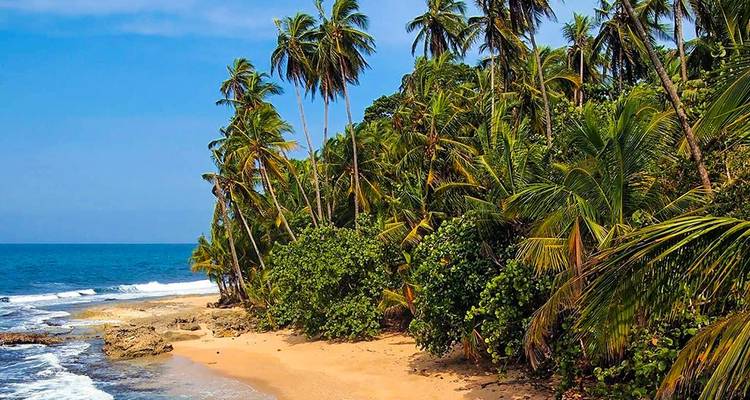 Explorador de la naturaleza de Costa Rica 8D/7N - Bamba Travel 4