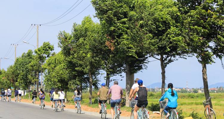 Un groupe de personnes faisant du vélo le long d'une route bordée d'arbres.