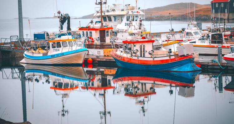 Coloridos barcos pesqueros atracados en un puerto con aguas tranquilas y reflejos.
