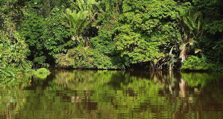 Lush green forest reflected in still water.