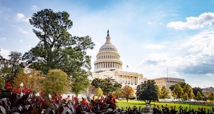 Het Amerikaanse Capitool gebouw omringd door bomen en een blauwe lucht.
