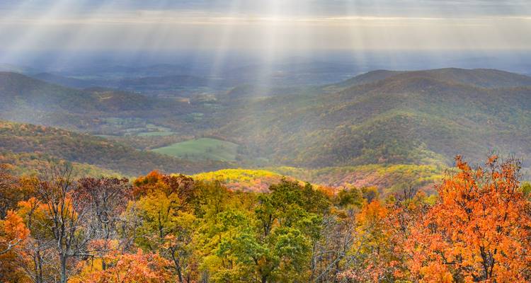 Herbstwald und sanfte Blue Ridge Mountains, beleuchtet von dramatischen Sonnenstrahlen, die durch die Wolken brechen.