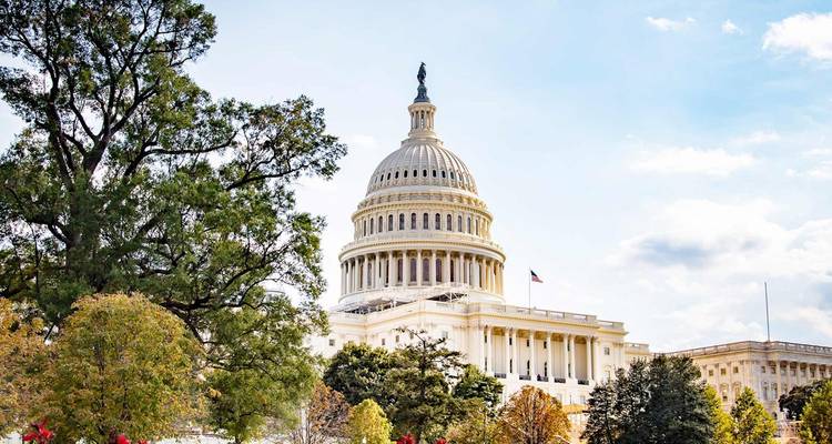 El Capitolio de los Estados Unidos con cúpula enmarcado por árboles frondosos de otoño bajo un cielo azul brillante de Washington