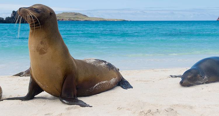 Galapagos Island Hopping - Intrepid Travel 6