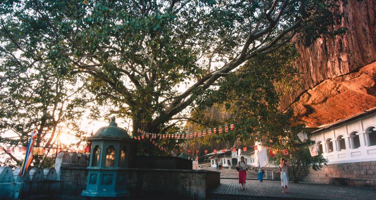 L'essentiel du Sri Lanka (6 destinations) - Intrepid Travel 10