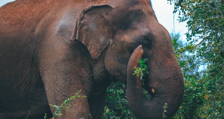 Sri Lanka Express - G Adventures 6