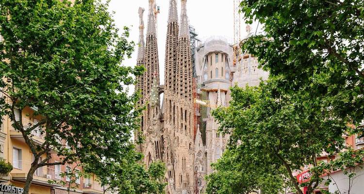 Vista de la imponente Sagrada Família de Barcelona enmarcada por una avenida frondosa y bloques de apartamentos.