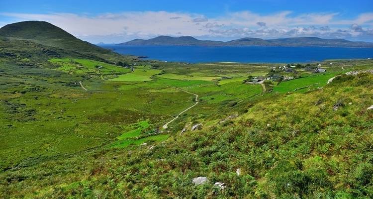 Experiencia irlandesa - Trafalgar 3