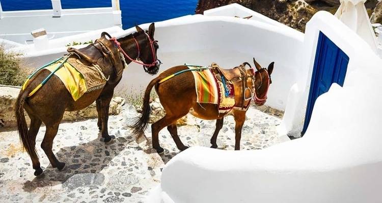 De isla en isla por Grecia - Trafalgar 6