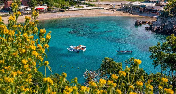 Vue côtière pittoresque d'une plage avec des bateaux et une eau turquoise entourée de fleurs.