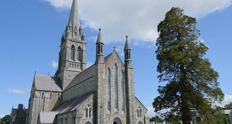 St. Mary's Cathedral in Killarney mit hohem Kirchturm und grauer Steinfassade, die neben einer hoch aufragenden Tanne vor blauem Himmel emporsteigt.