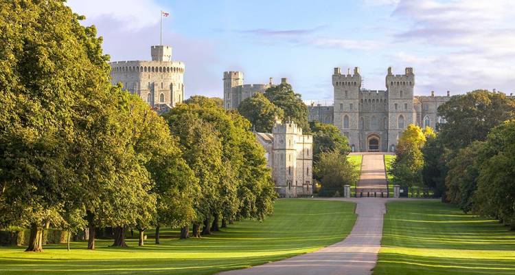 Château de Windsor avec une longue allée bordée d'arbres.