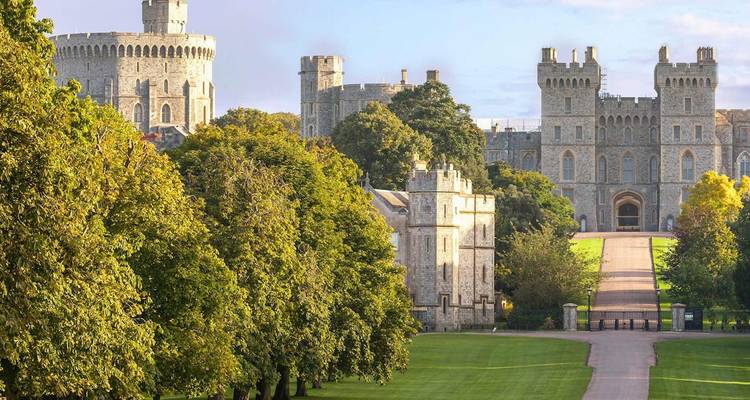 Le château de Windsor vu à travers la Long Walk encadré par des pelouses verdoyantes et des rangées d'arbres à feuilles larges dans la lumière du petit matin.