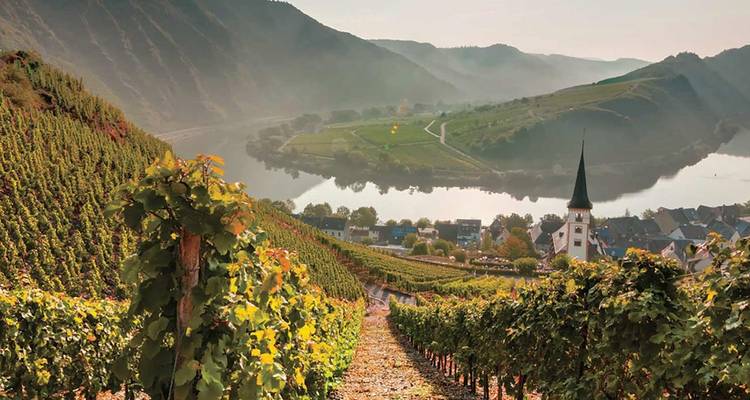 Des rangées de vignobles verts descendent vers une rivière calme et un village pittoresque avec un clocher pointu, encadrés par des collines brumeuses