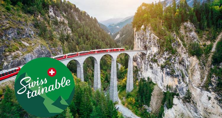 Train sur un viaduc dans une région montagneuse avec un logo de durabilité.