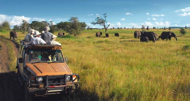 Wild About Tanzania - 10 days - On The Go Tours 1