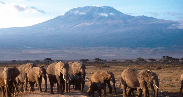 Wild About Tanzania - 10 days - On The Go Tours 2