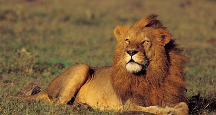 Wild About Tanzania - 10 days - On The Go Tours 4