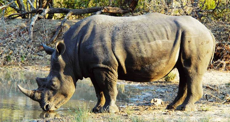 Wild About Tanzania - 10 days - On The Go Tours 6