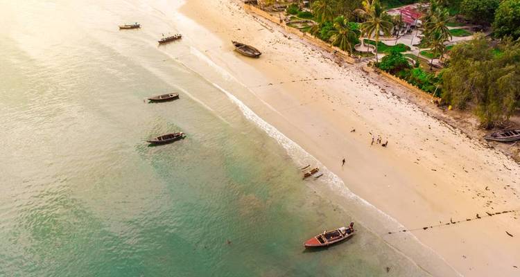 An aerial view of a beach with boats and palm trees.