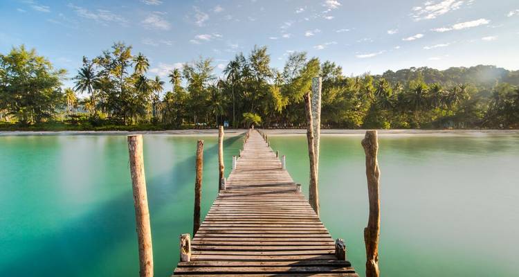 Beautiful coastal scenery with a wooden pier leading to a sandy beach lined with palm trees.