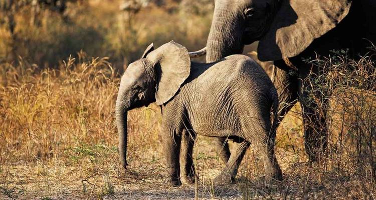 Zanzibar to Vic Falls - Intrepid Travel 10