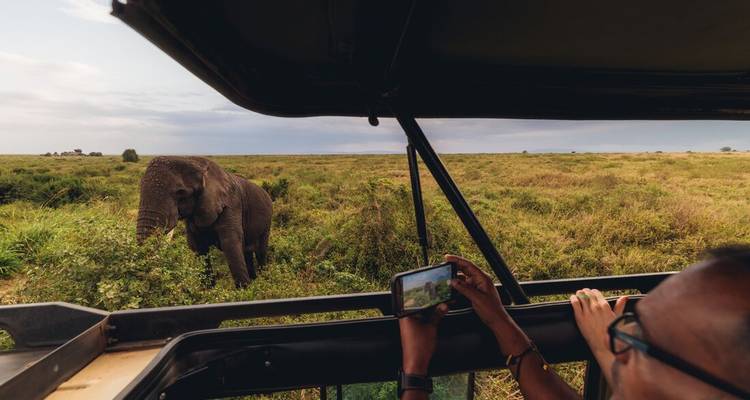 Safari-Passagiere fotografieren einen einzelnen Elefanten, der auf den Serengeti-Ebenen grast, von einem offenen Fahrzeug aus.