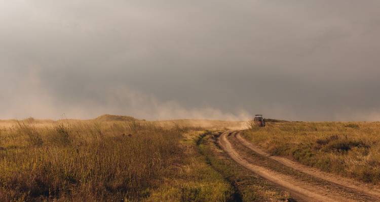 Staubige Piste schlängelt sich durch die offene Savanne, mit einem entfernten Safari-Jeep, der Staubwolken aufwirbelt.