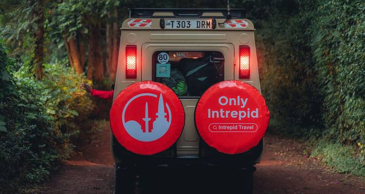 Ein Intrepid-markiertes Safari-Fahrzeug mit auffälligen roten Reserverad-Abdeckungen fährt durch dichten grünen Pfad.